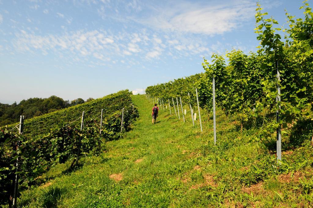 Weingut Winzerzimmer Rothschaedl Leutschach Eksteriør bilde