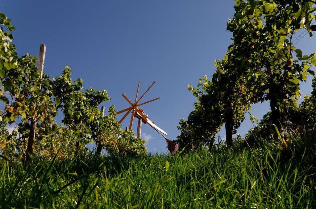 Weingut Winzerzimmer Rothschaedl Leutschach Eksteriør bilde